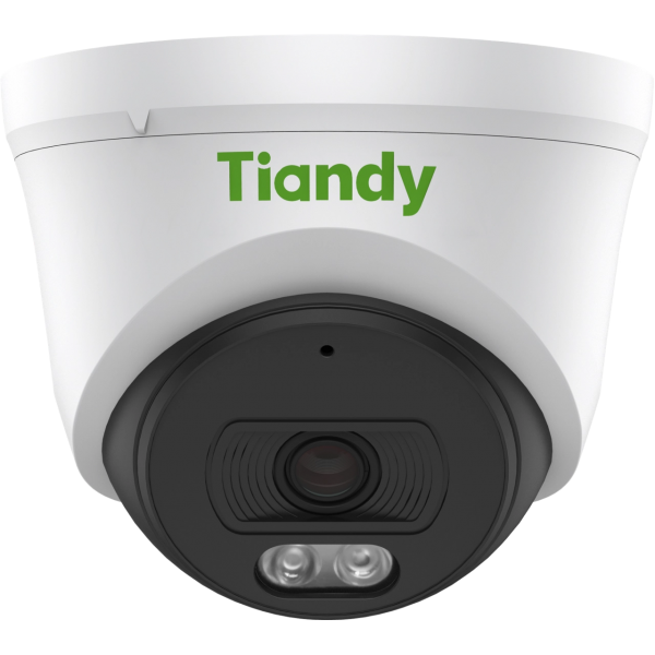 TC-C32XN Spec: I3/E/Y/2.8mm/V5.0 2 Мп уличная купольная IP камера с ИК подсветкой до 30 м