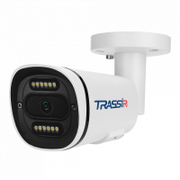 TR-D2121CL3 4.0 IP-камера