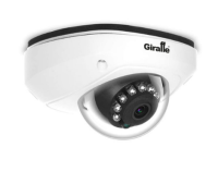 Антивандальная IP видеокамера с аудиовходом GF-IPVIR4254MPA5.0