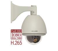 Beward B85-20H2 Купольная IP камера