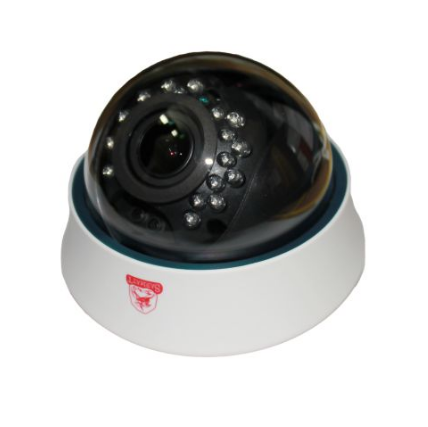 SR-ID40V2812IRL Купольная IP камера с ИК подсветкой с аудиоканалом