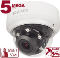 BD4780DV купольная IP камера